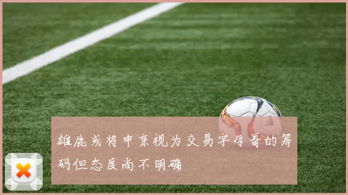 雄鹿或将申京视为交易字母哥的筹码但态度尚不明确